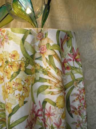 slide /fotky15646/slider/orchideje-facebook-III.jpg