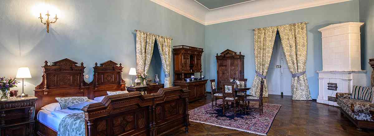 Zámecký pokoj Historismus detail