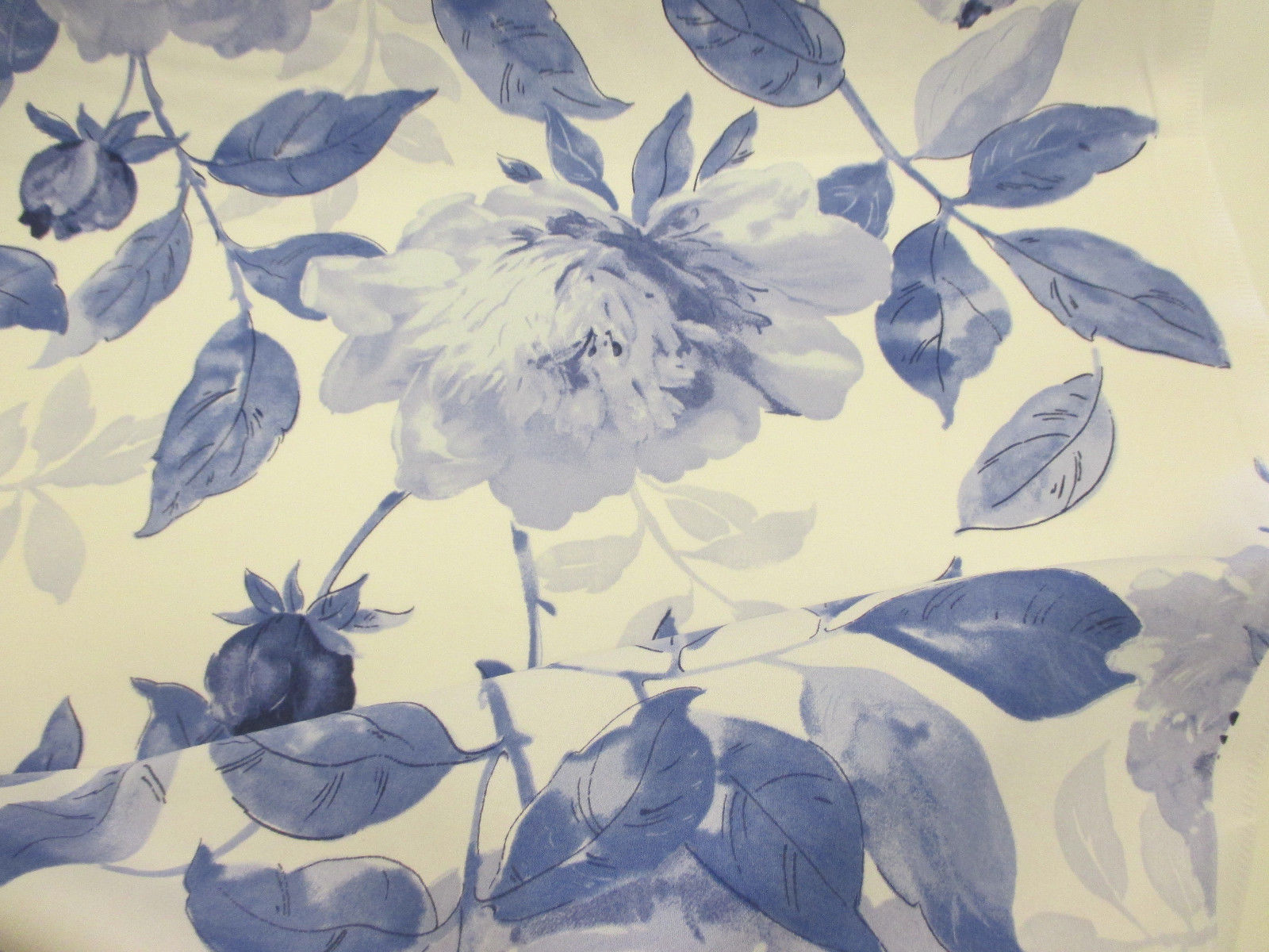 Modré pivoňky na krémové CA450