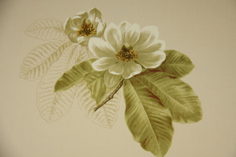 Květy Magnolie CA225