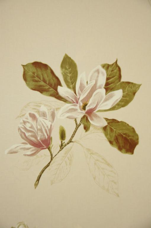 Květy Magnolie CA225