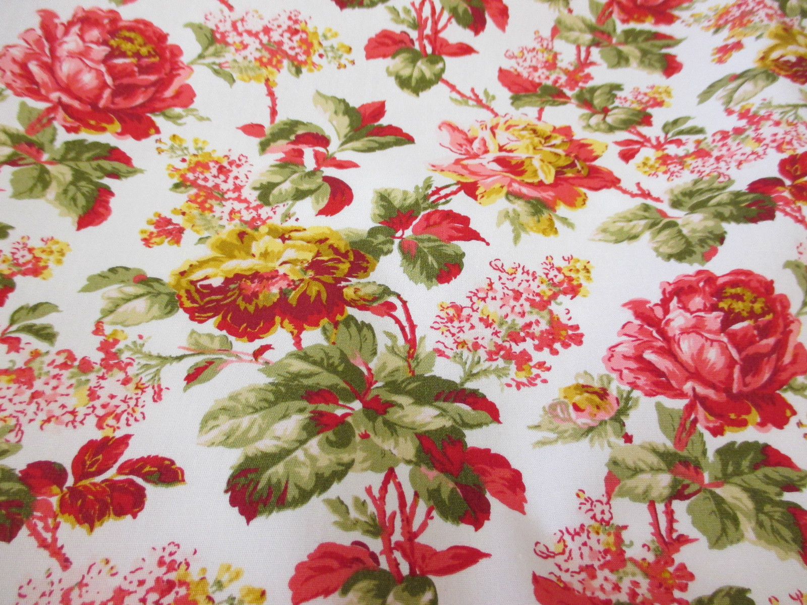 Anglická růže  CA453