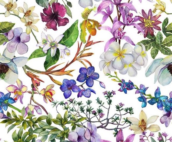 Botanica ve slonové kosti