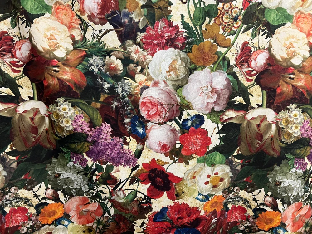 Barokní zahrada v plném květu  1m