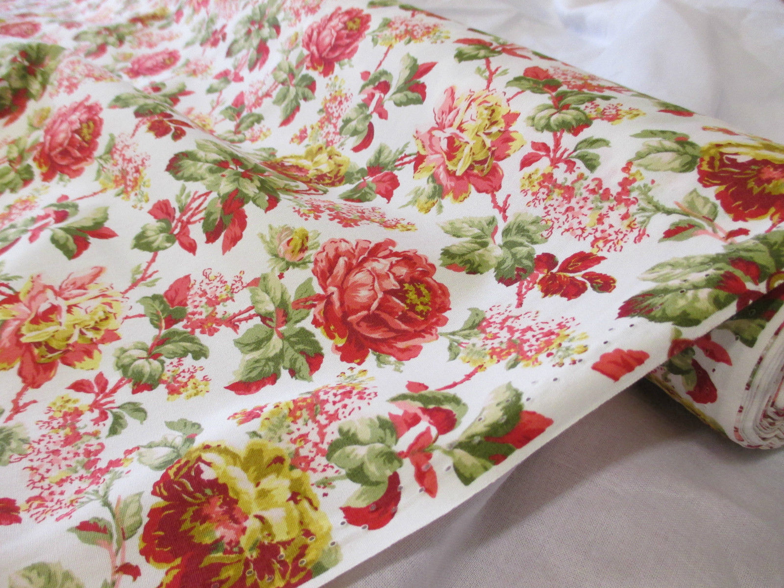 Anglická růže  CA453