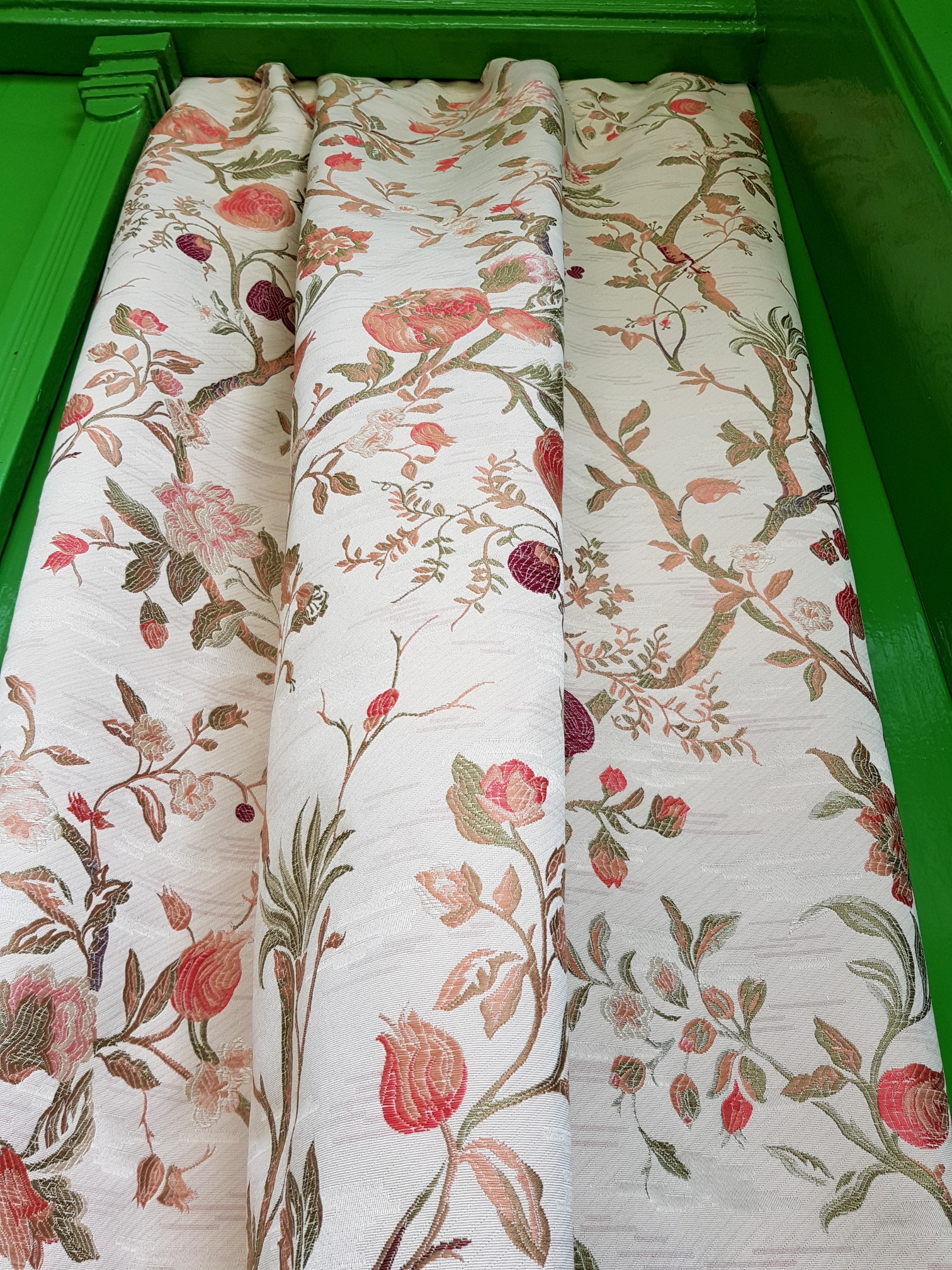 Rostliny a plody v bordó na béžové