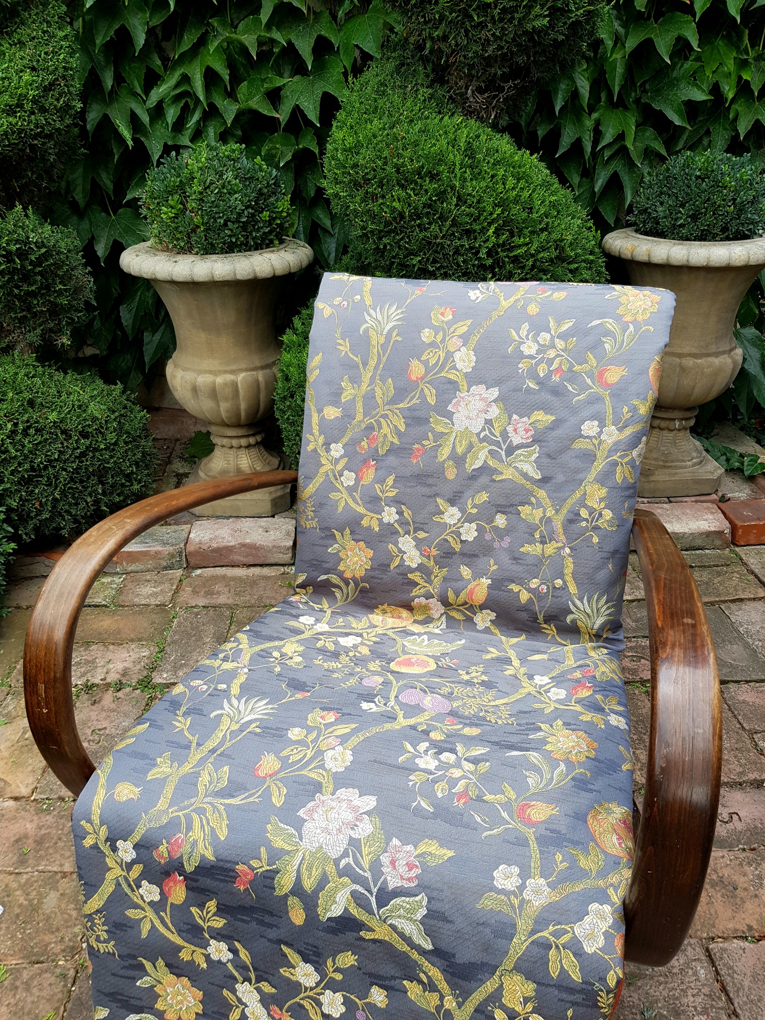 Rostliny a plody na šedé