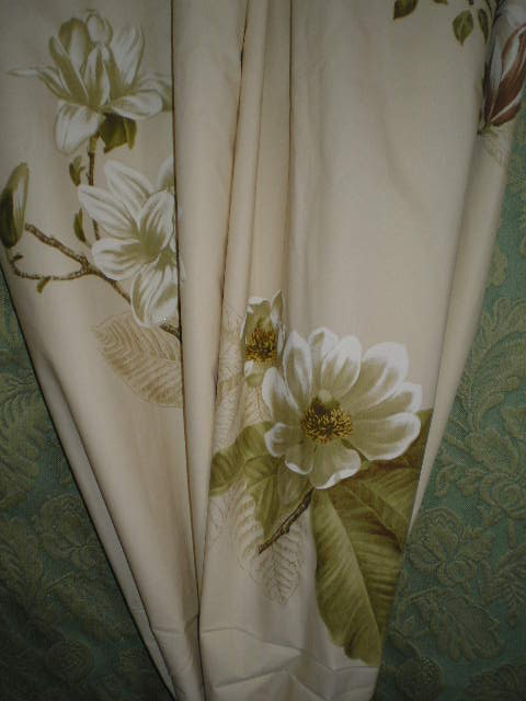 Květy Magnolie CA225