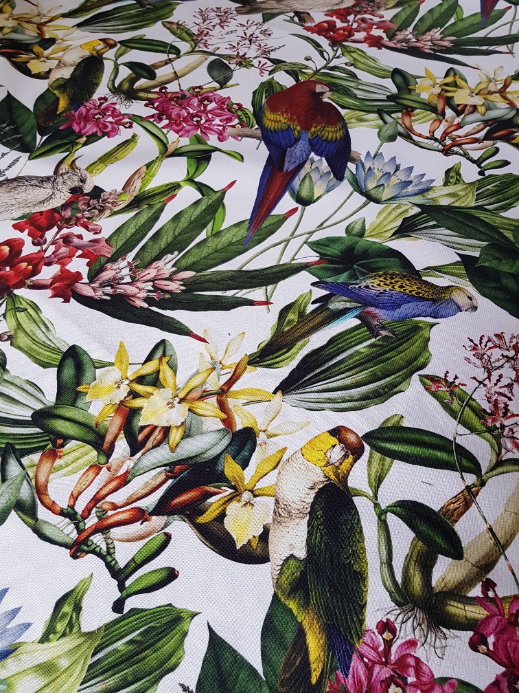 Orchideje a papoušci