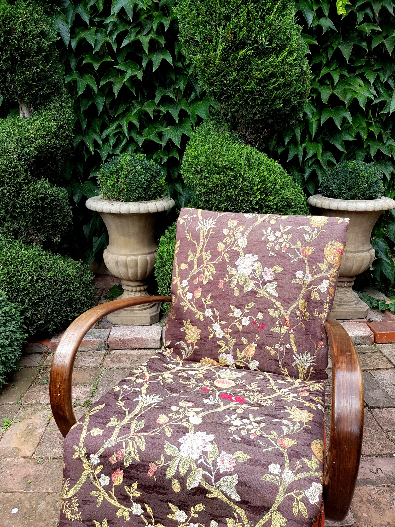 Rostliny a plody na čokoládové