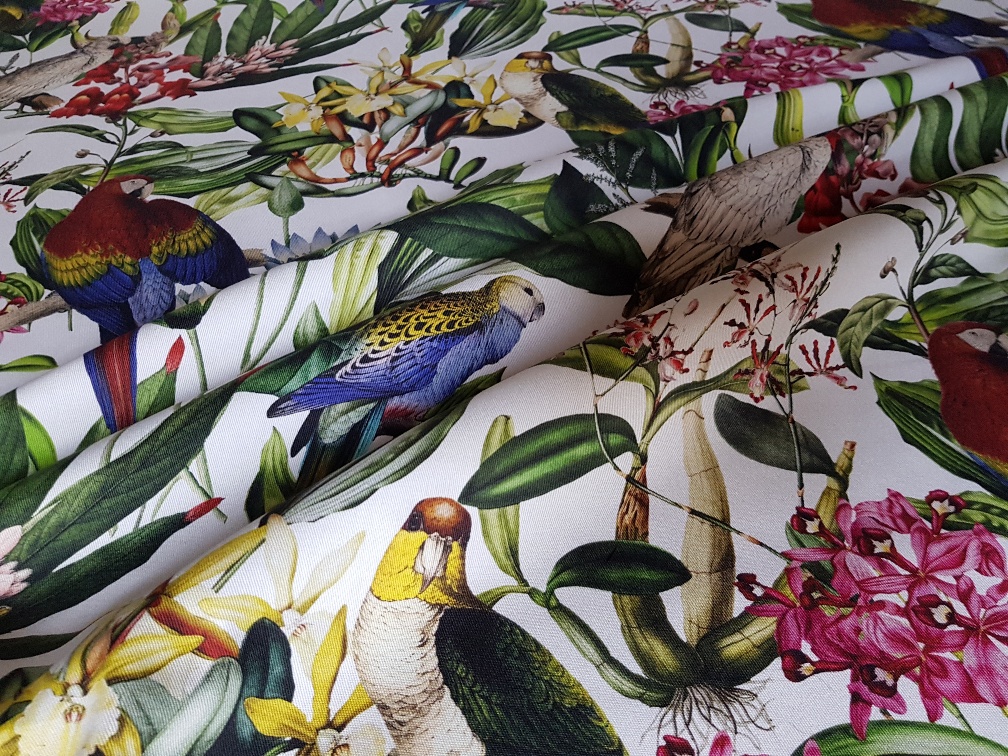 Orchideje a papoušci