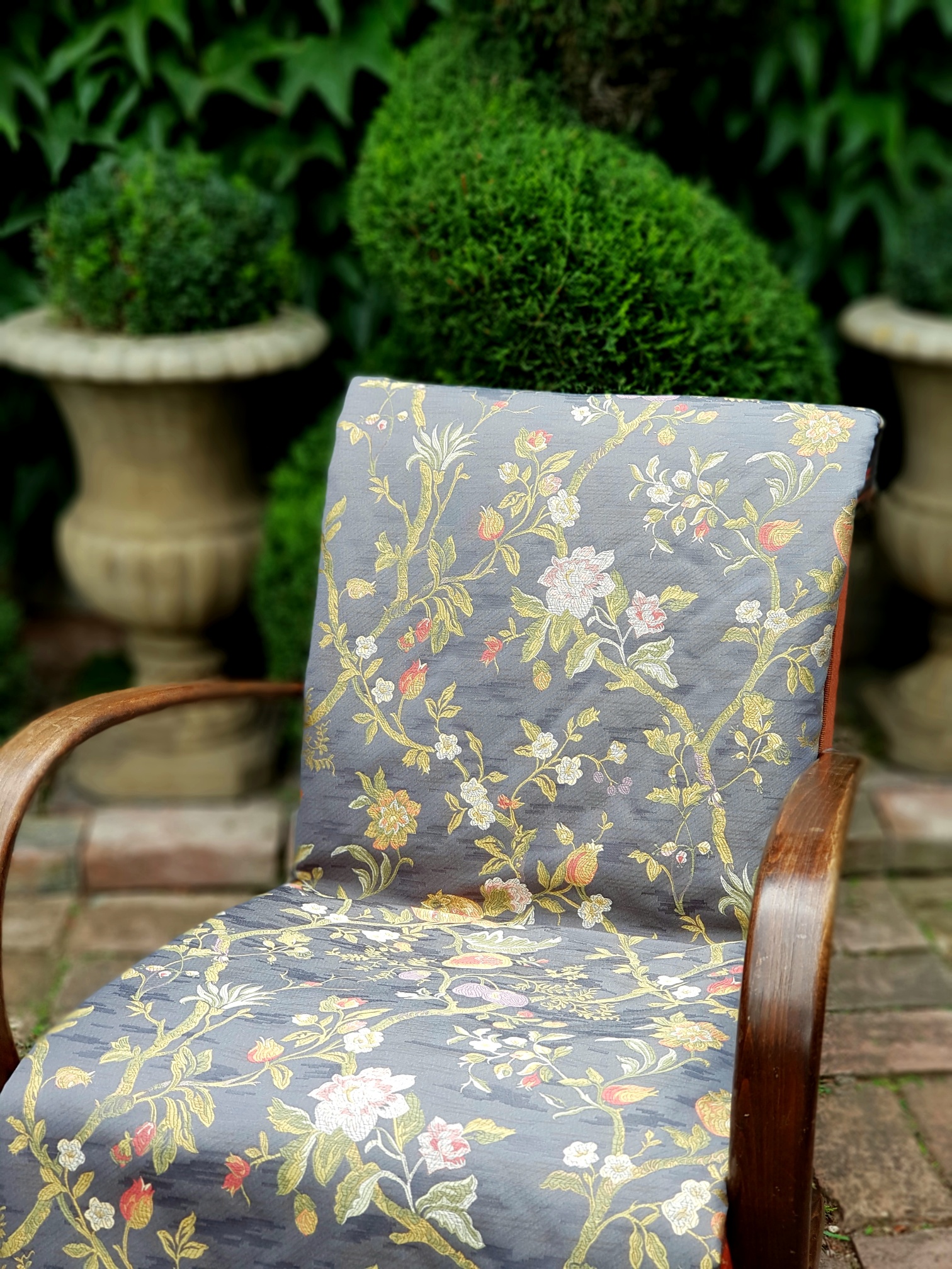 Rostliny a plody na šedé